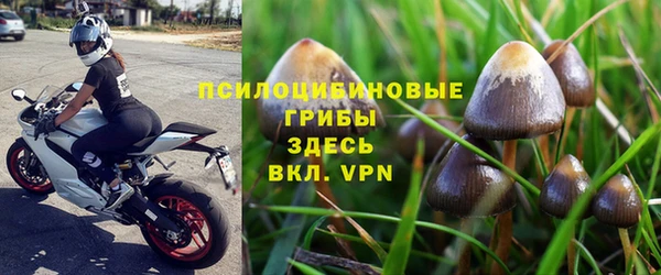 мескалин Белокуриха