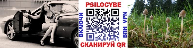 Псилоцибиновые грибы MAGIC MUSHROOMS Городец