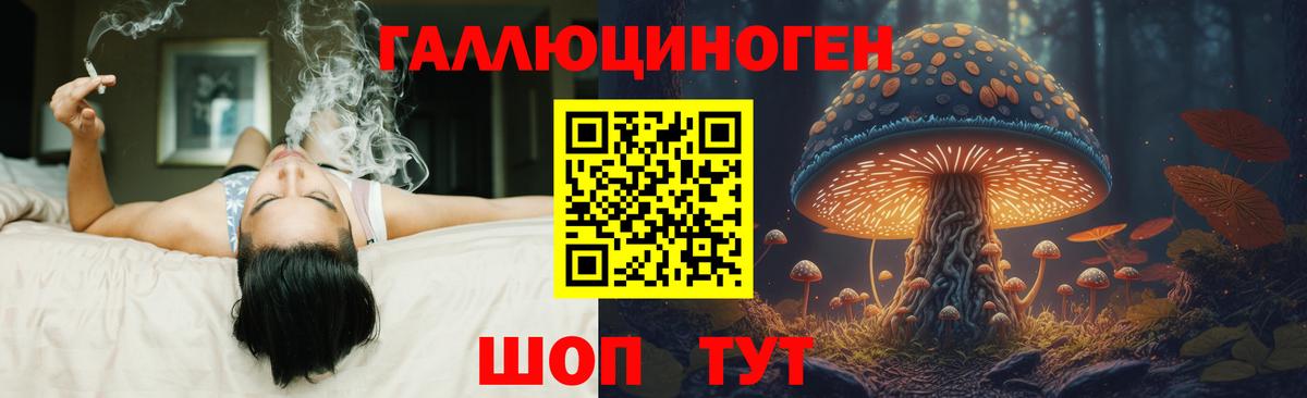 Городец  Галлюциногенные грибы мухоморы  даркнет сайт  Вход с VPN  Псилоцибиновые грибы GOLDEN TEACHER 